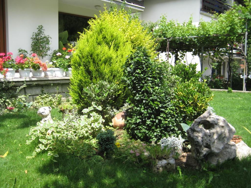 Slavina Guest House ساباريفا بانيا المظهر الخارجي الصورة